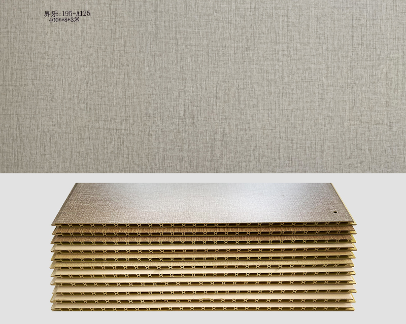 界樂(lè):195-A125 400V*8*3米